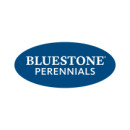 Bluestone perennials